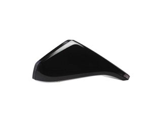 Door Mirror