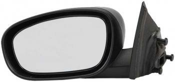Door Mirror