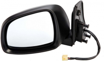 Door Mirror