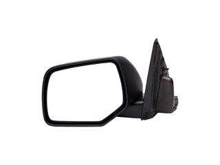 Door Mirror