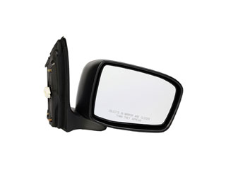 Door Mirror
