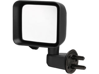Door Mirror