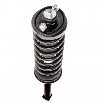 Suspension Strut and Coil Spring Assembly
