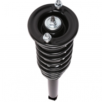 Suspension Strut and Coil Spring Assembly