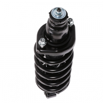 Suspension Strut and Coil Spring Assembly
