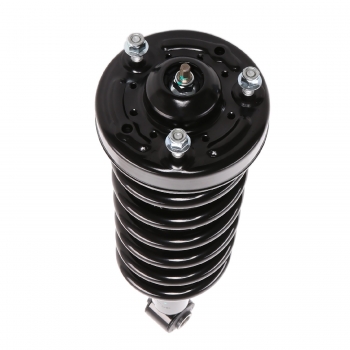 Suspension Strut and Coil Spring Assembly