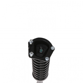 Suspension Strut and Coil Spring Assembly