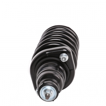 Suspension Strut and Coil Spring Assembly