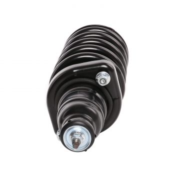 Suspension Strut and Coil Spring Assembly