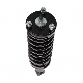 Suspension Strut and Coil Spring Assembly