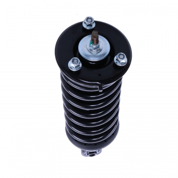 Suspension Strut and Coil Spring Assembly