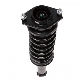Suspension Strut and Coil Spring Assembly