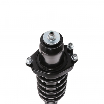 Suspension Strut and Coil Spring Assembly