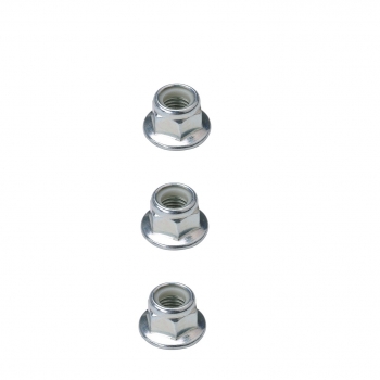 Suspension Strut and Coil Spring Assembly