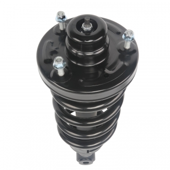 Suspension Strut and Coil Spring Assembly