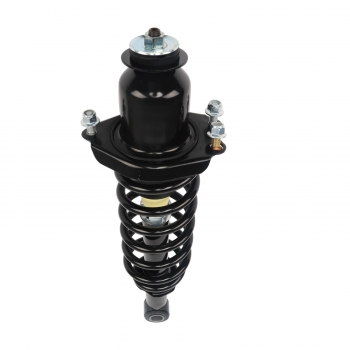 Suspension Strut and Coil Spring Assembly