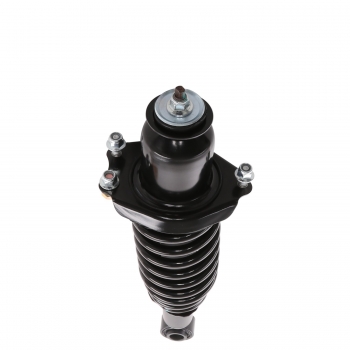 Suspension Strut and Coil Spring Assembly