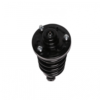 Suspension Strut and Coil Spring Assembly