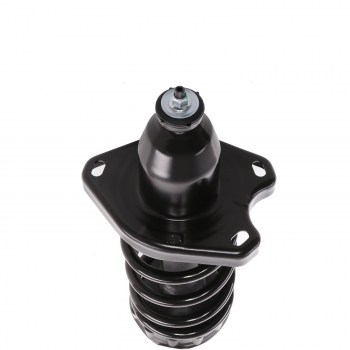 Suspension Strut and Coil Spring Assembly