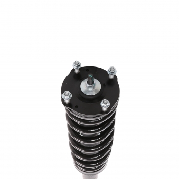 Suspension Strut and Coil Spring Assembly