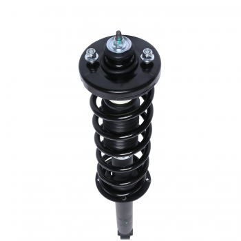 Suspension Strut and Coil Spring Assembly