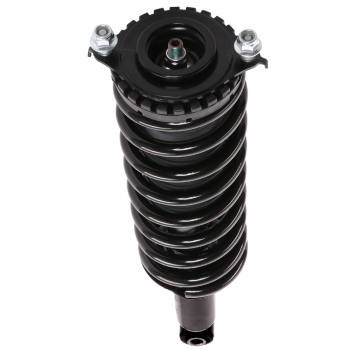 Suspension Strut and Coil Spring Assembly