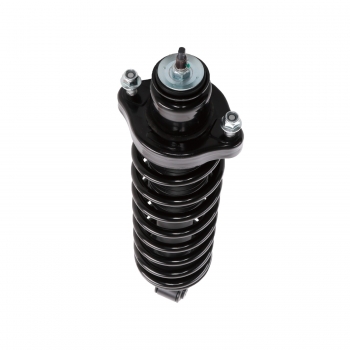 Suspension Strut and Coil Spring Assembly