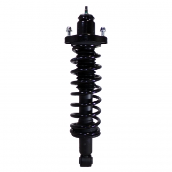 Suspension Strut and Coil Spring Assembly