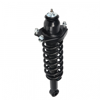 Suspension Strut and Coil Spring Assembly