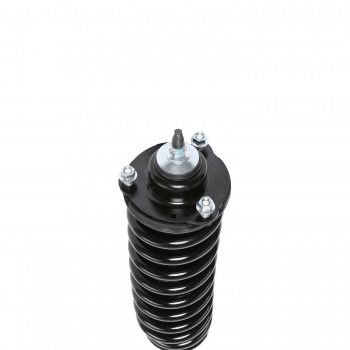 Suspension Strut and Coil Spring Assembly