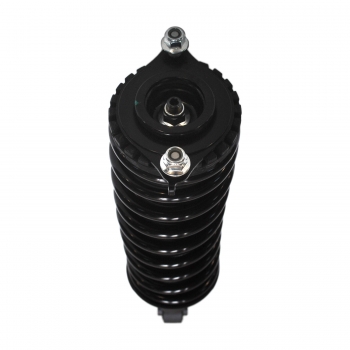 Suspension Strut and Coil Spring Assembly