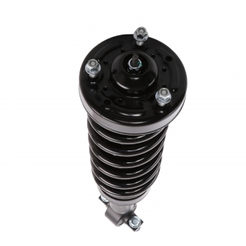 Suspension Strut and Coil Spring Assembly