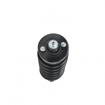 Suspension Strut and Coil Spring Assembly