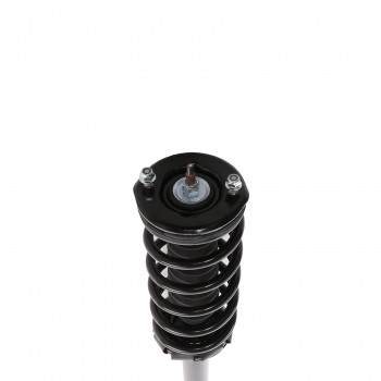 Suspension Strut and Coil Spring Assembly