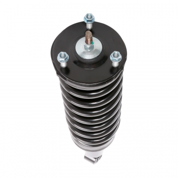 Suspension Strut and Coil Spring Assembly