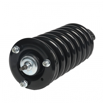 Suspension Strut and Coil Spring Assembly