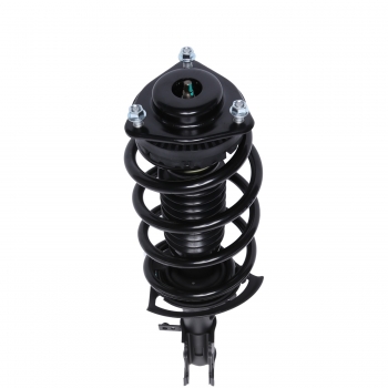 Suspension Strut and Coil Spring Assembly