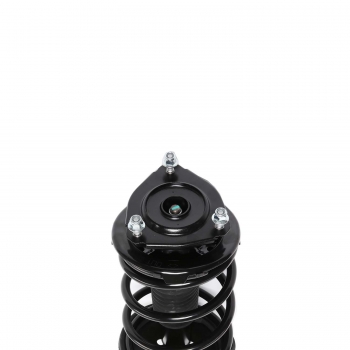 Suspension Strut and Coil Spring Assembly