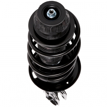 Suspension Strut and Coil Spring Assembly