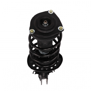 Suspension Strut and Coil Spring Assembly