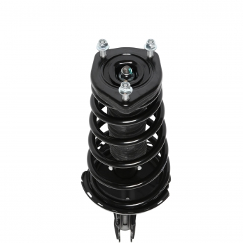 Suspension Strut and Coil Spring Assembly