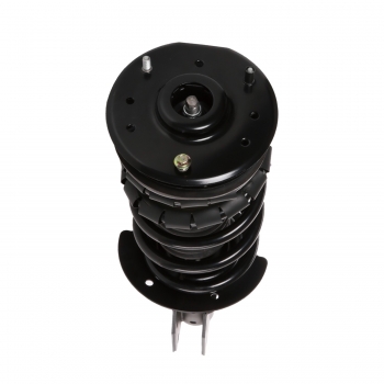 Suspension Strut and Coil Spring Assembly