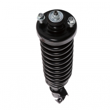 Suspension Strut and Coil Spring Assembly