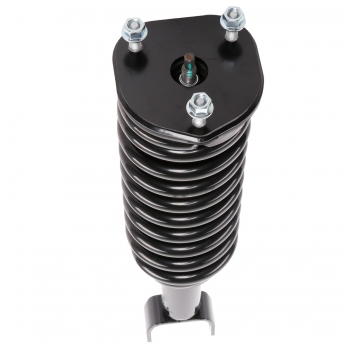 Suspension Strut and Coil Spring Assembly