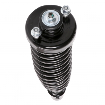 Suspension Strut and Coil Spring Assembly