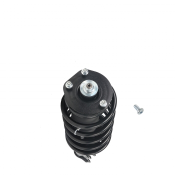 Suspension Strut and Coil Spring Assembly