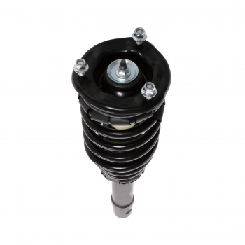 Suspension Strut and Coil Spring Assembly