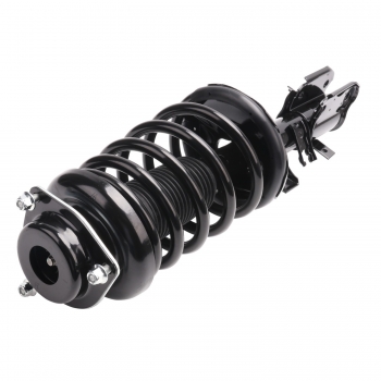 Suspension Strut and Coil Spring Assembly