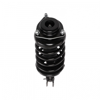 Suspension Strut and Coil Spring Assembly