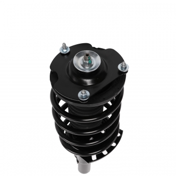 Suspension Strut and Coil Spring Assembly